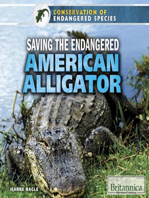cover image of Saving the Endangered American Alligator